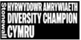 Stonewall Diversity Champion Cymru